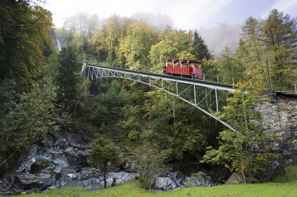 Brücke mit Bahn mitten im Wald