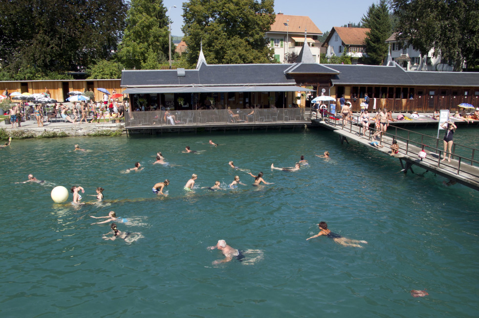 Schwimmer in der Aare